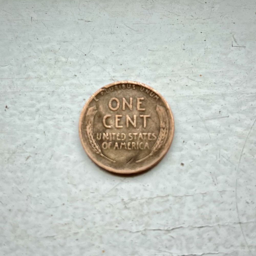 Wheat Penny  coin collectible - Main Image 4