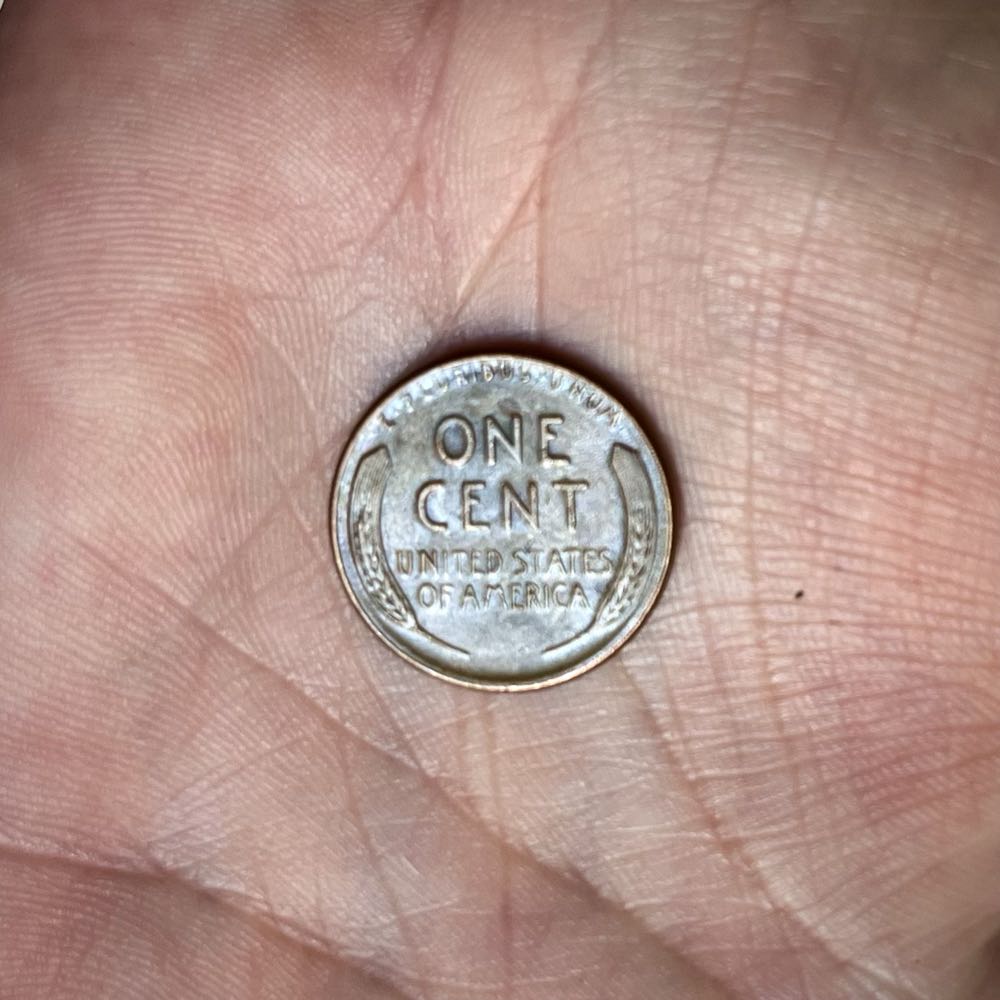 Wheat Penny  coin collectible - Main Image 3