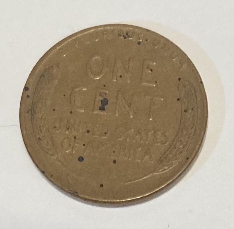 1955 D Wheat Penny  coin collectible - Main Image 2
