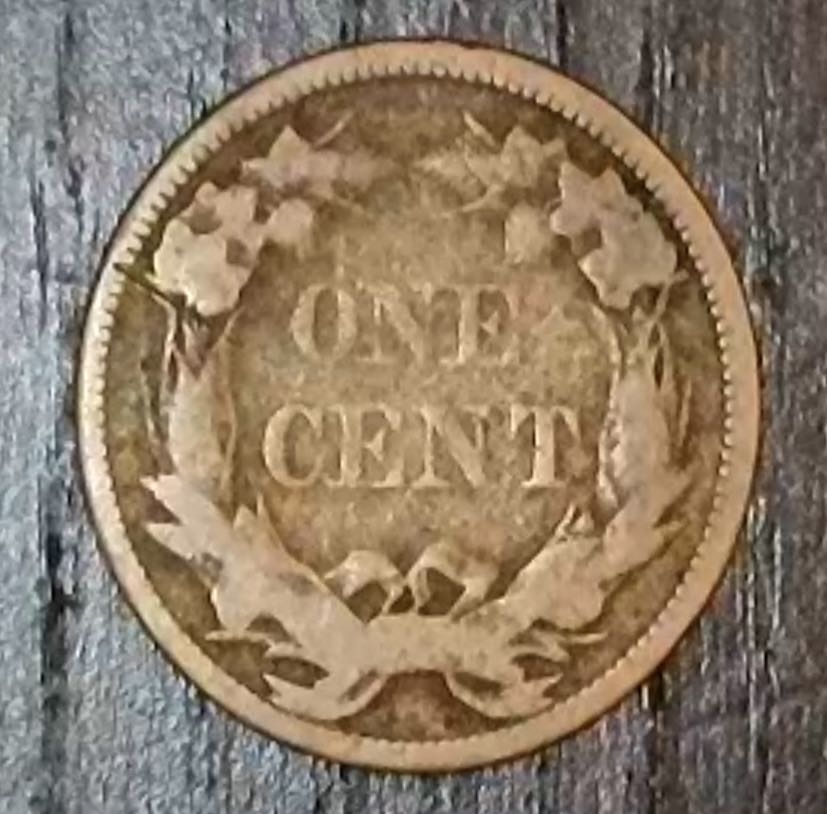 1858 Flying Eagle Cent  coin collectible - Main Image 2