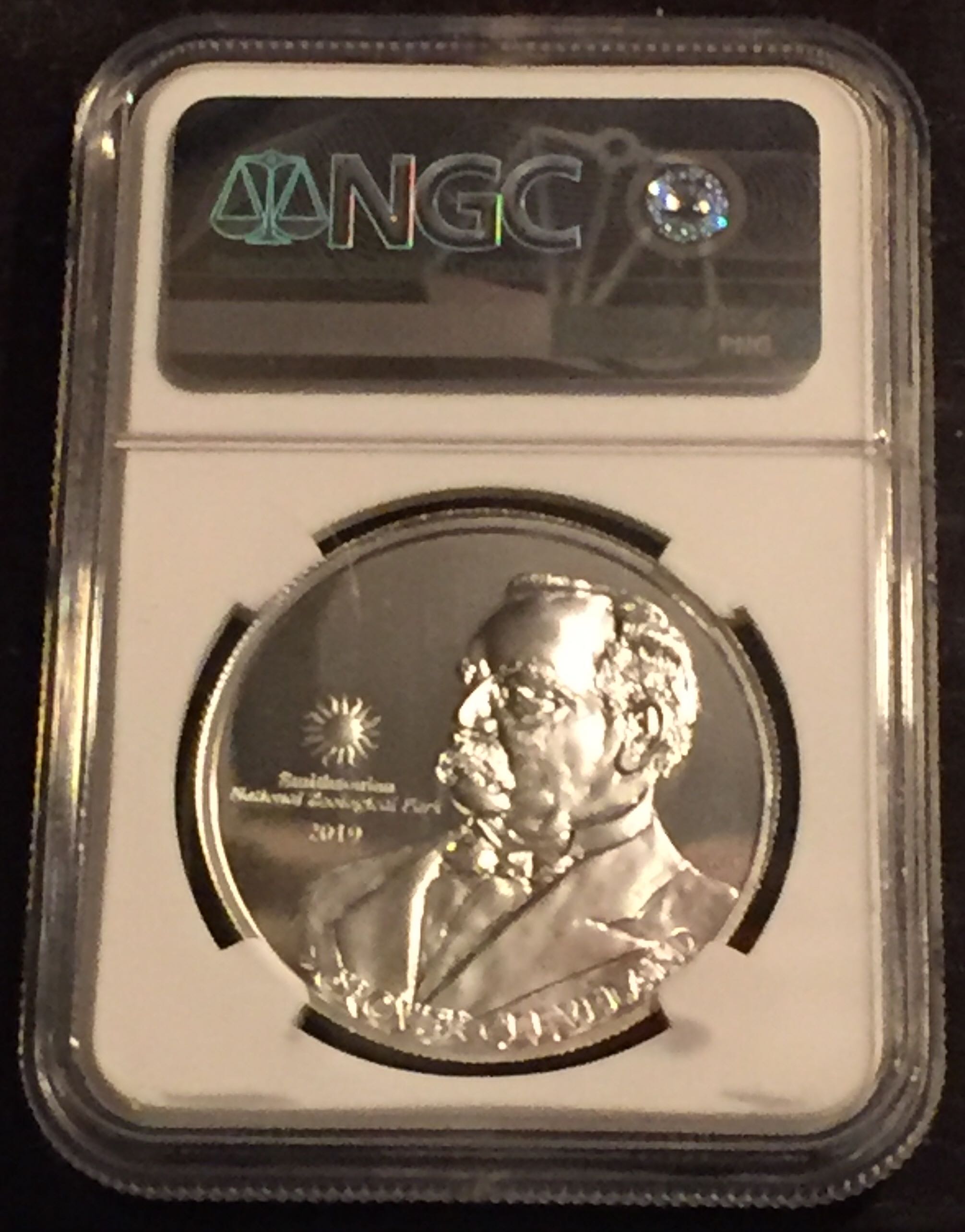 2019 Buffalo At The Castle  coin collectible - Main Image 2