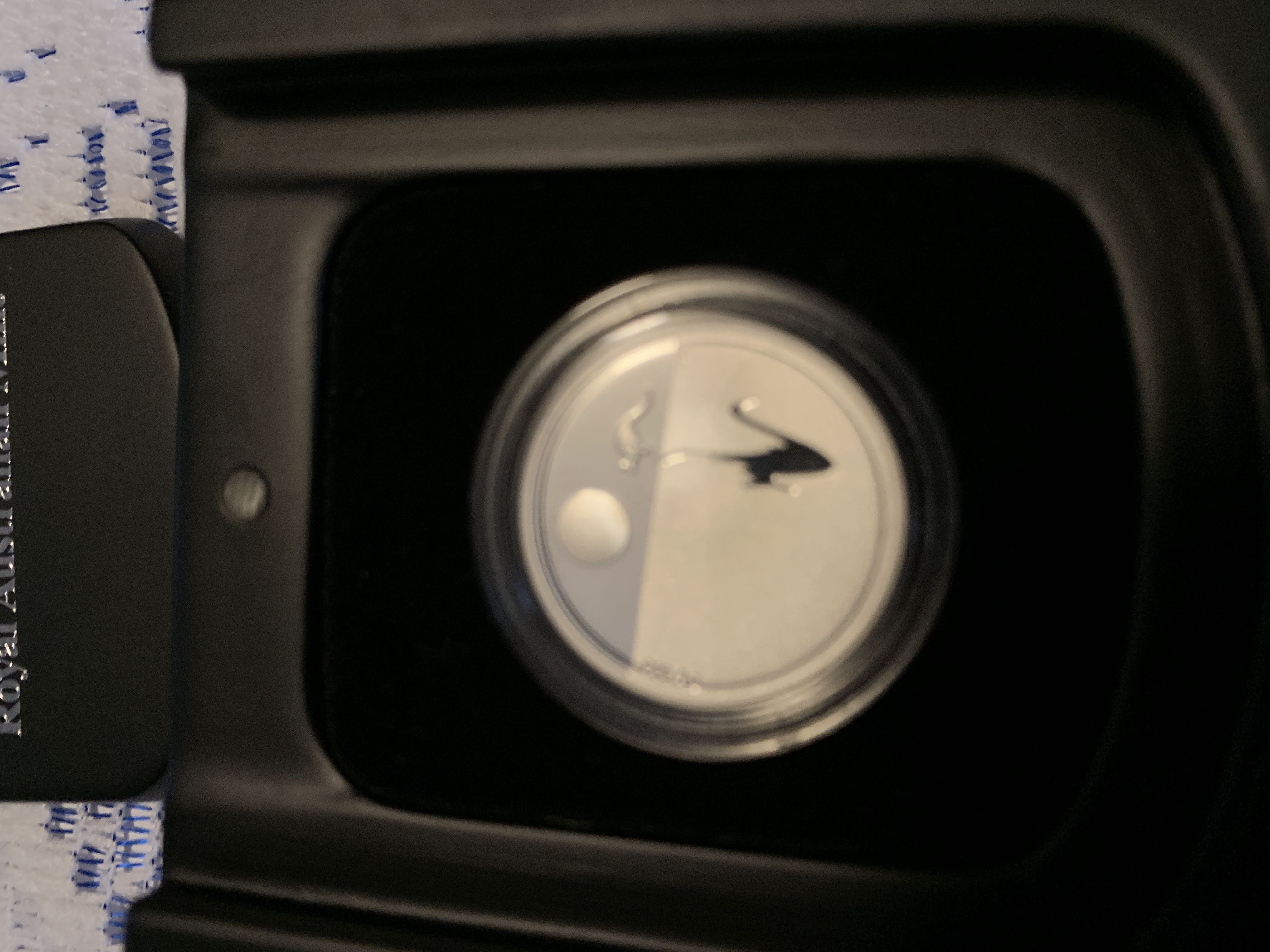 Grimms Märchen - Froschkönig