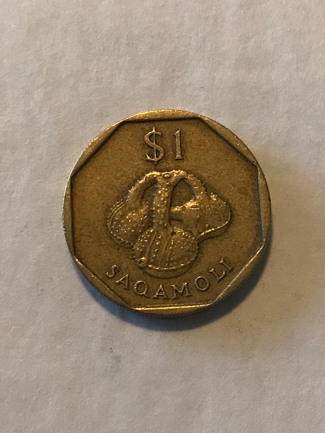 Cheshire Cat Card Coin