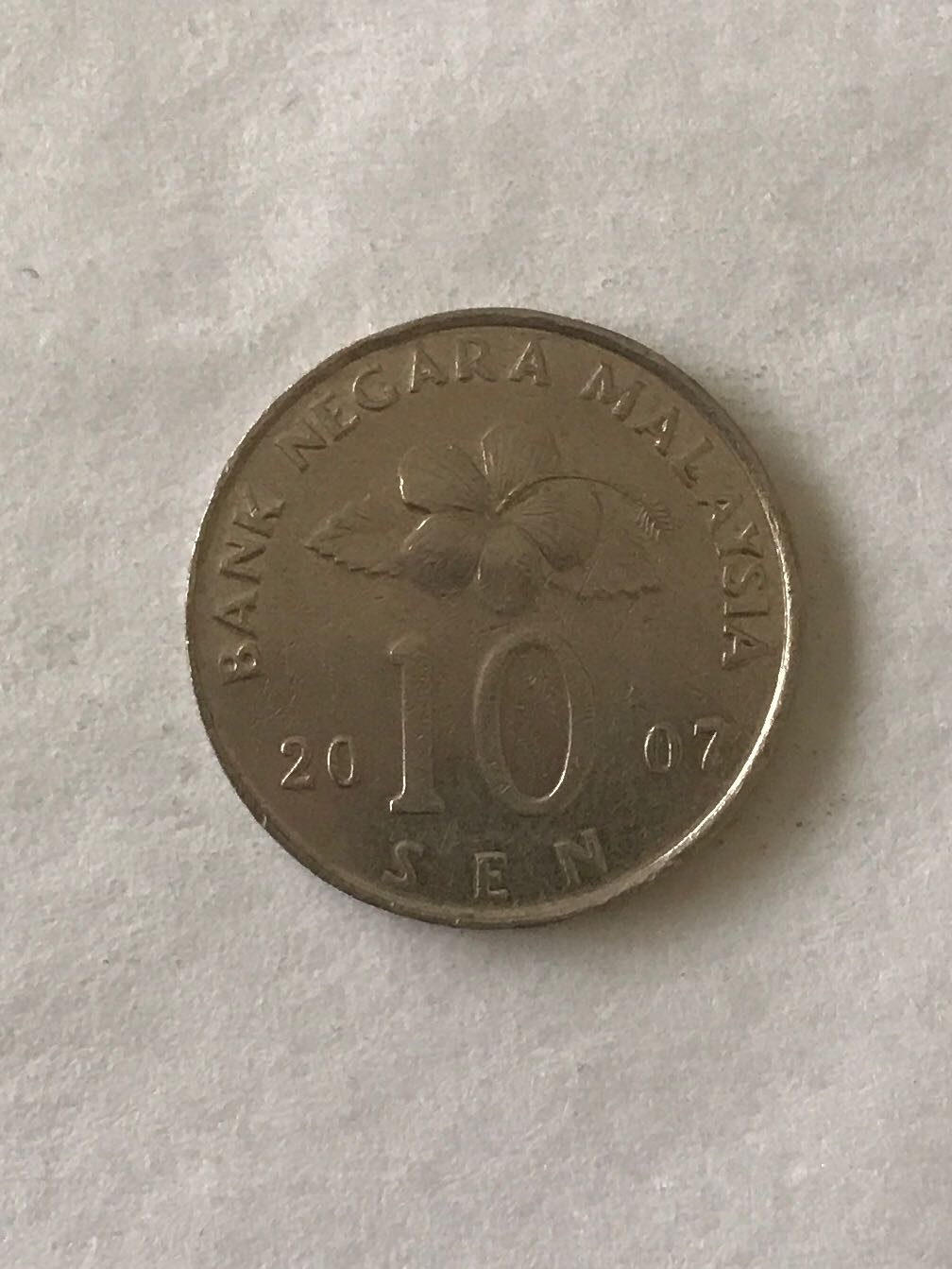 Falcon Of The Plantagenets