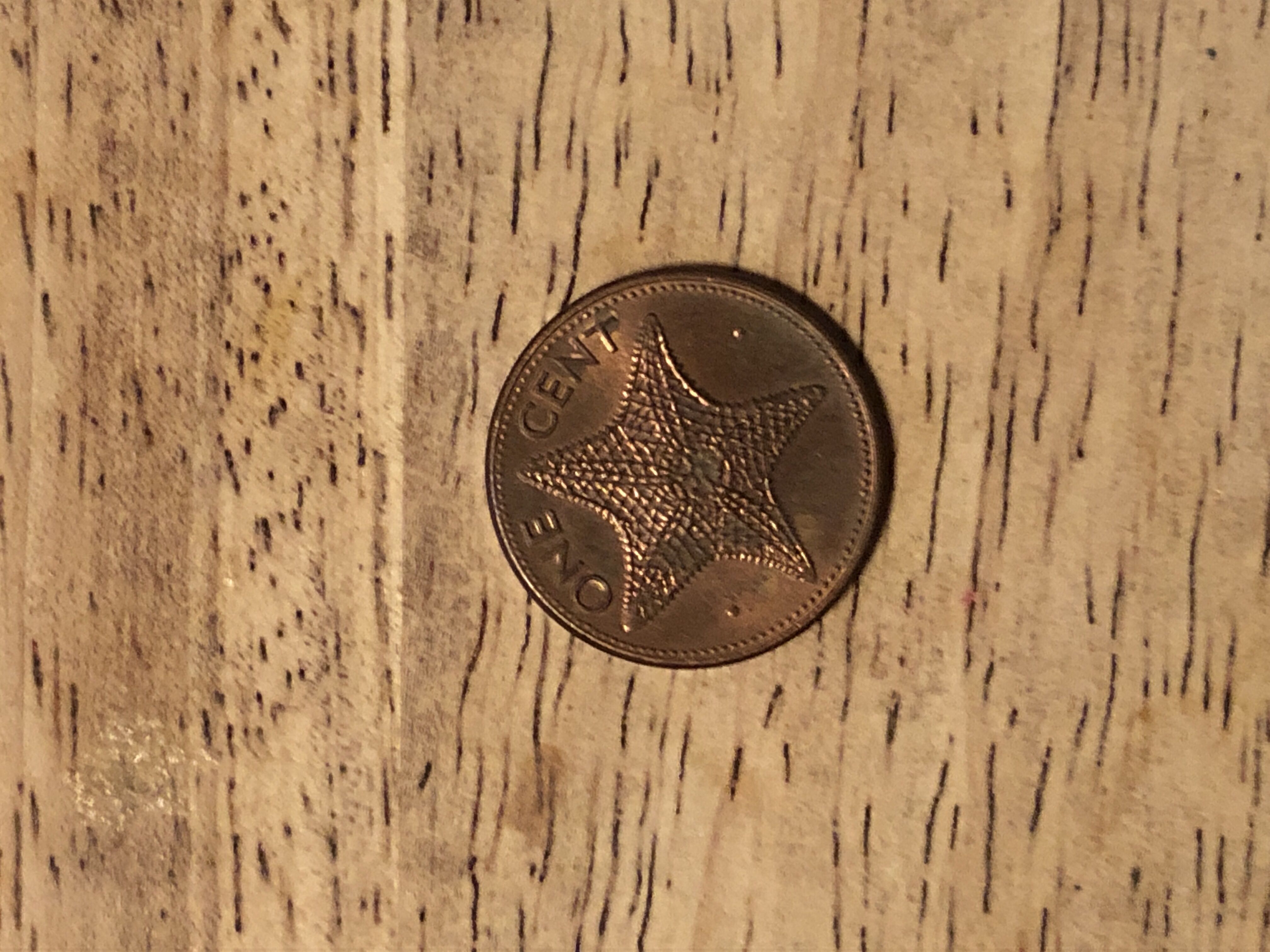 2009 Commonwealth Of Bahamas 1 Cent  coin collectible - Main Image 2