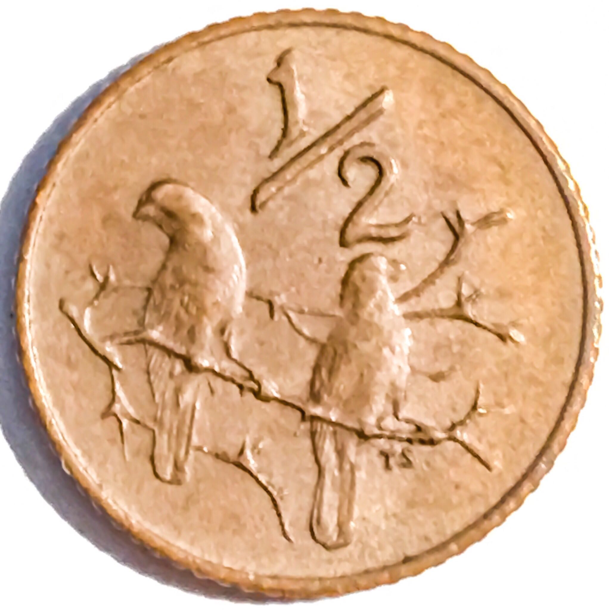 Army Rifle Association India (N.I.R.A. 1863-1886)