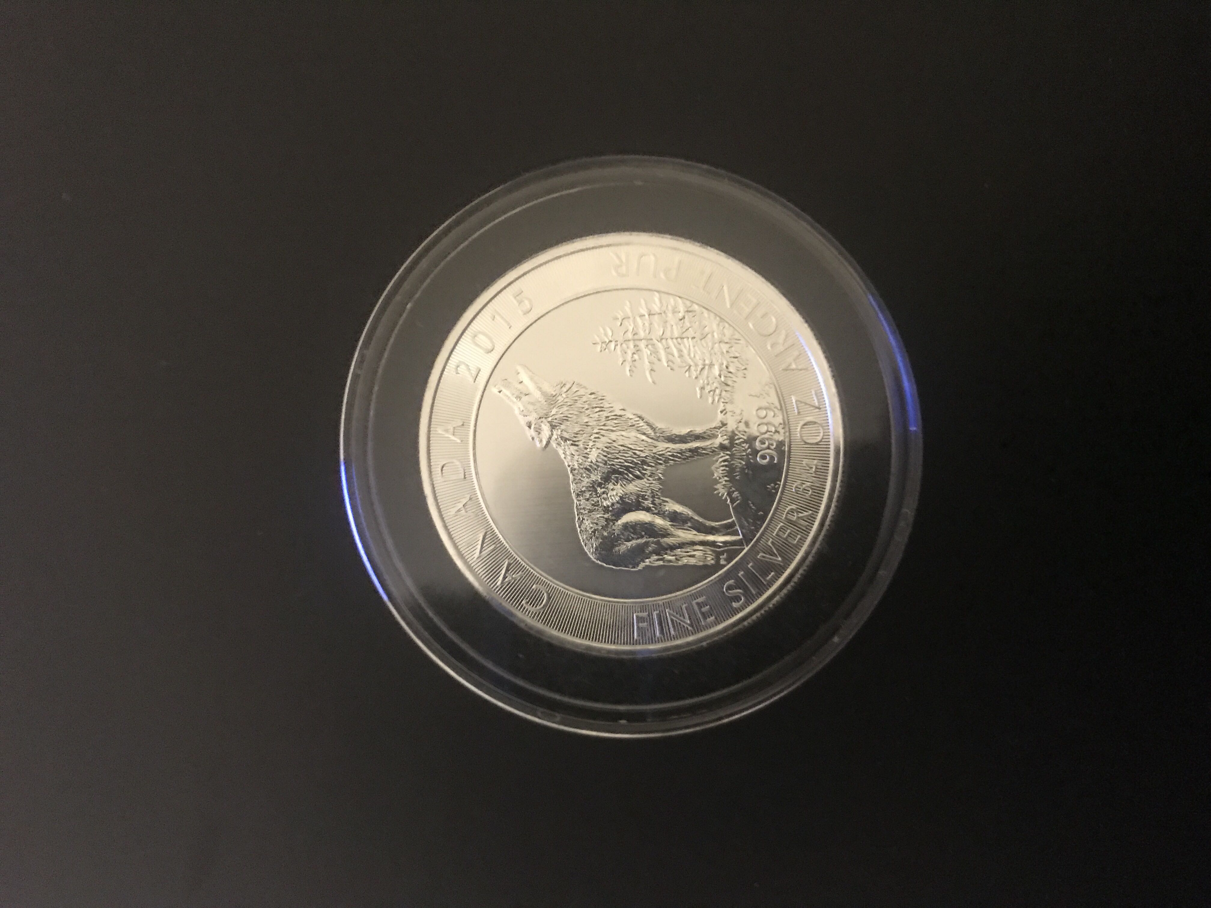 1956-D Lincoln Wheat Ears Cent (1)