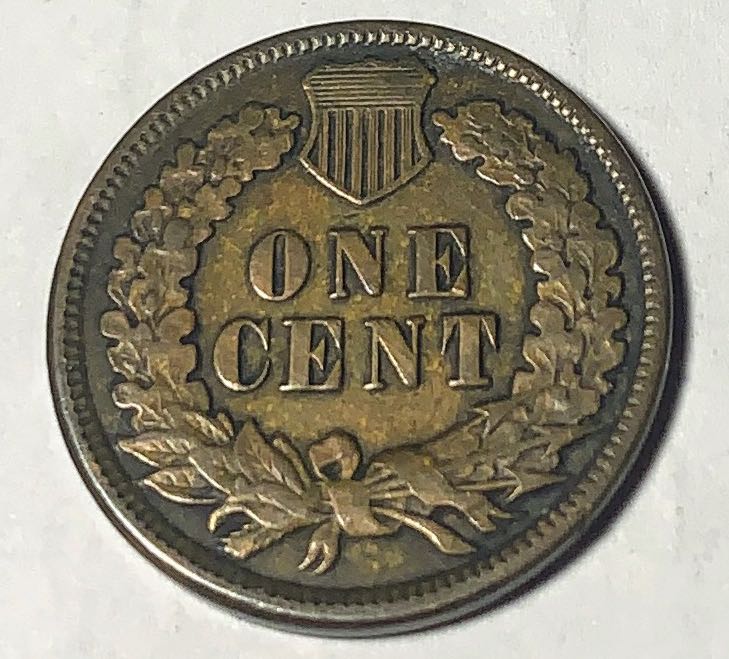 Indian Head Penny  coin collectible - Main Image 2