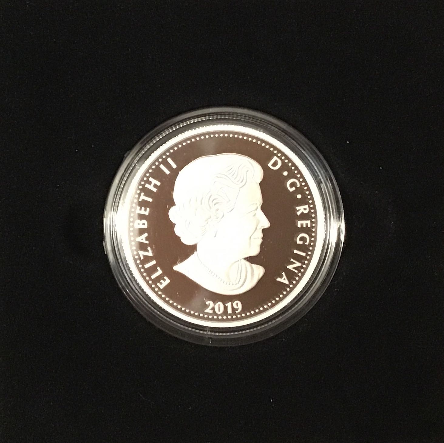 Golden Maple Leaves 170729  coin collectible [Barcode 623932094437] - Main Image 2