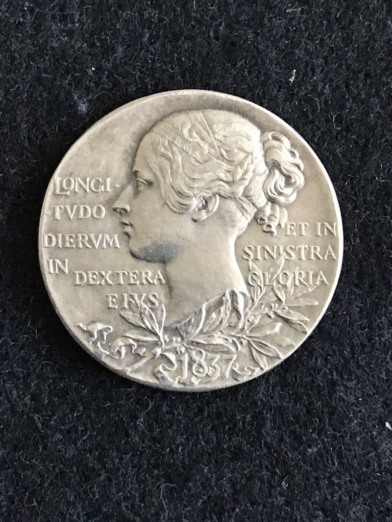 Waluigi - Super Mario - Wonder Ball