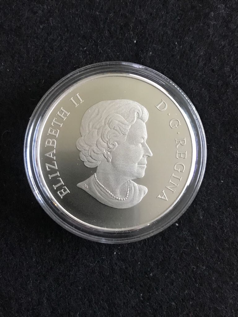 Canadian The Grizzly  coin collectible - Main Image 2