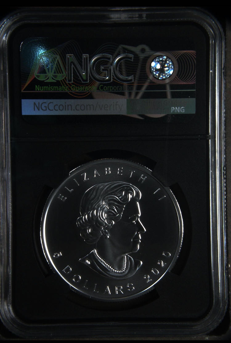 2020 W Burnished Maple Leaf  coin collectible - Main Image 2