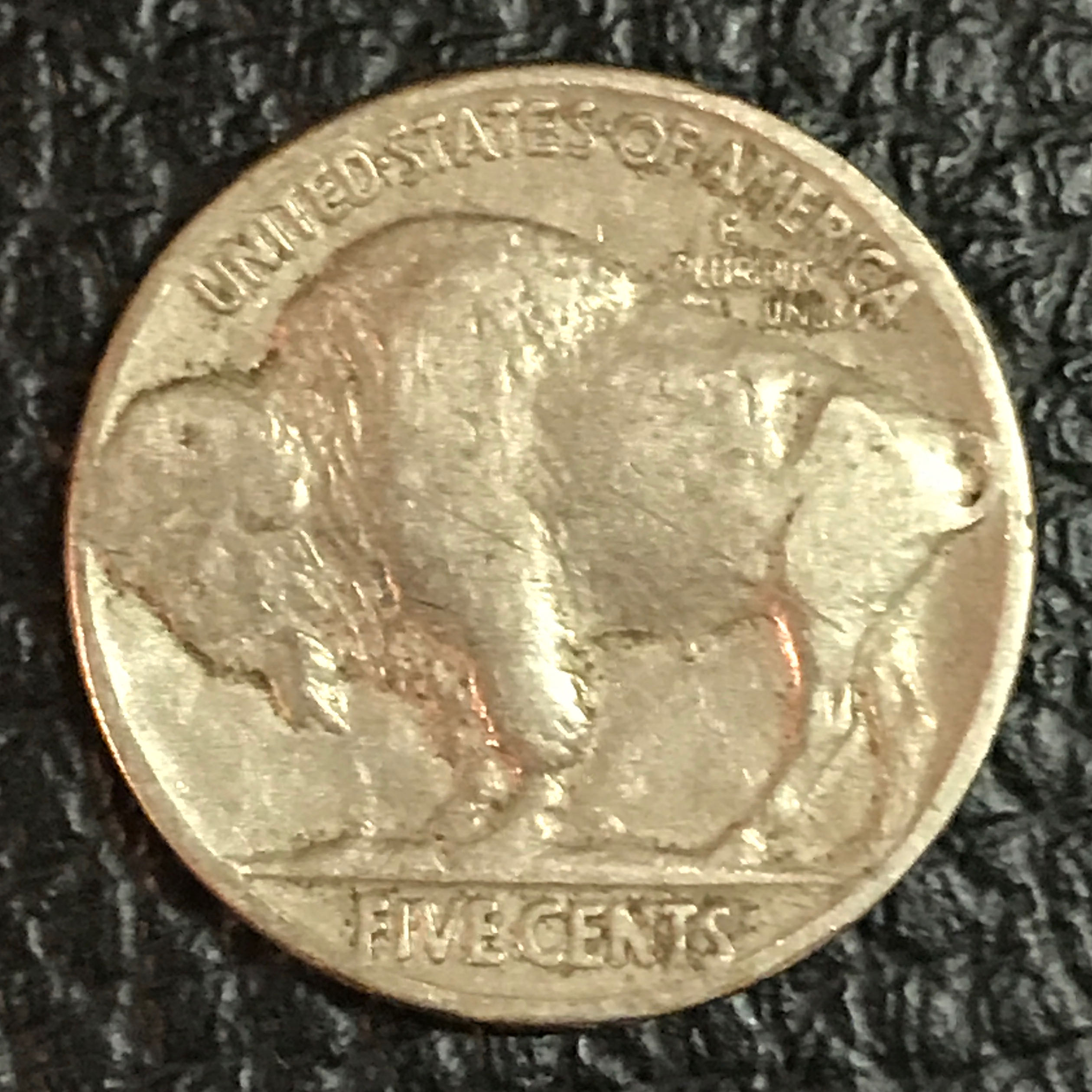American 1934-D Buffalo Nickel  coin collectible - Main Image 2