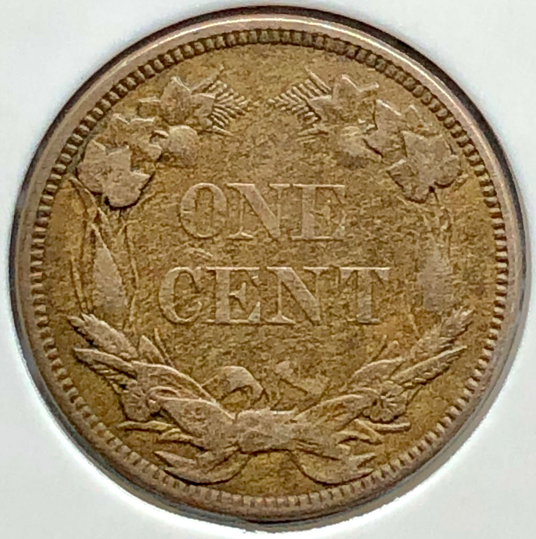 1858 Flying Eagle Cent Small Letters  coin collectible - Main Image 2