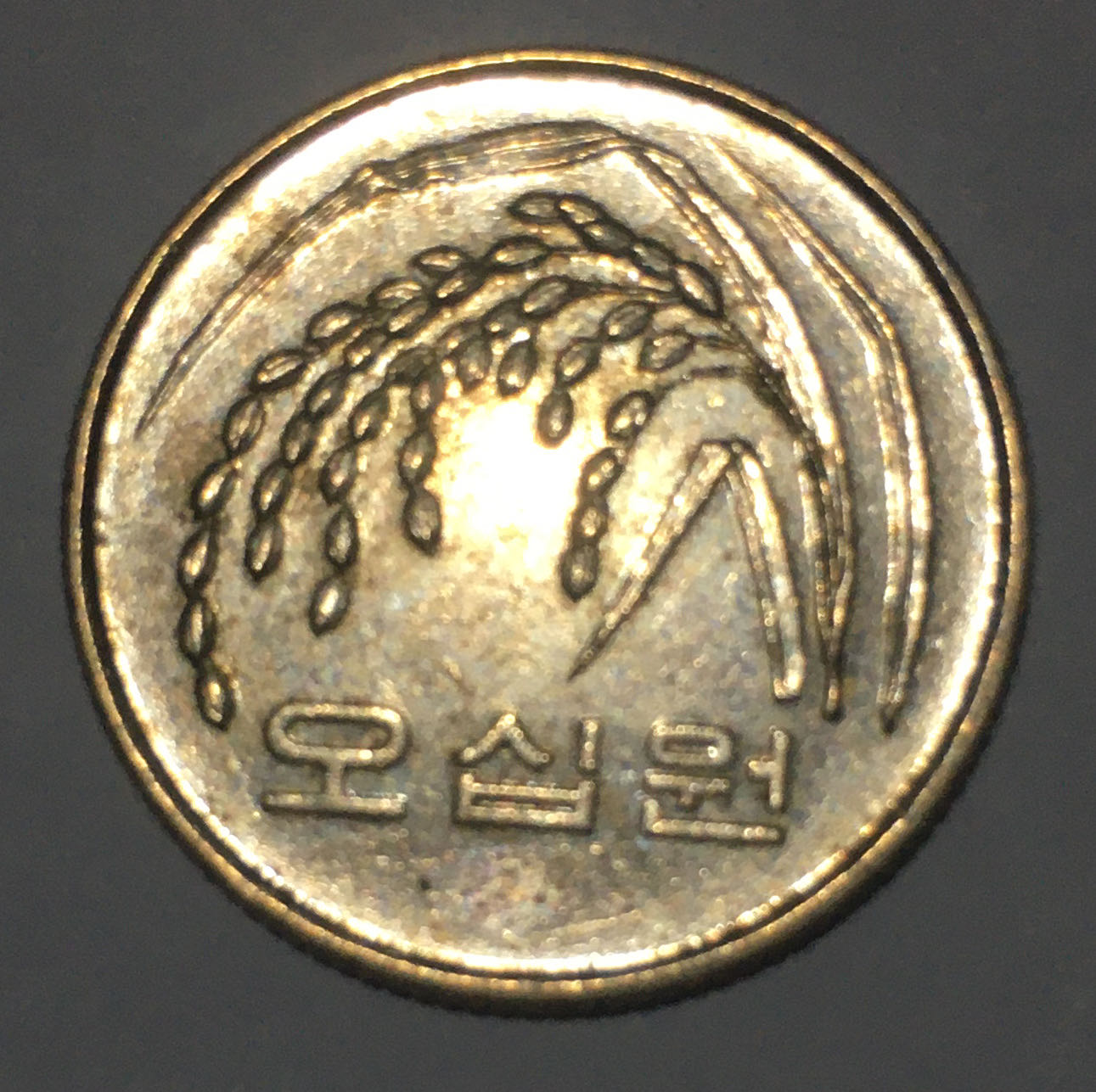 2007 50 Won  coin collectible - Main Image 2