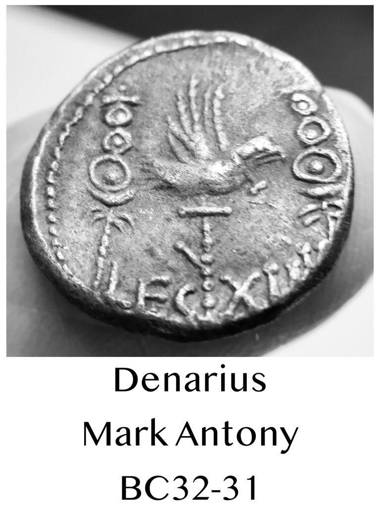 Denarius of Mark Antony  coin collectible - Main Image 2