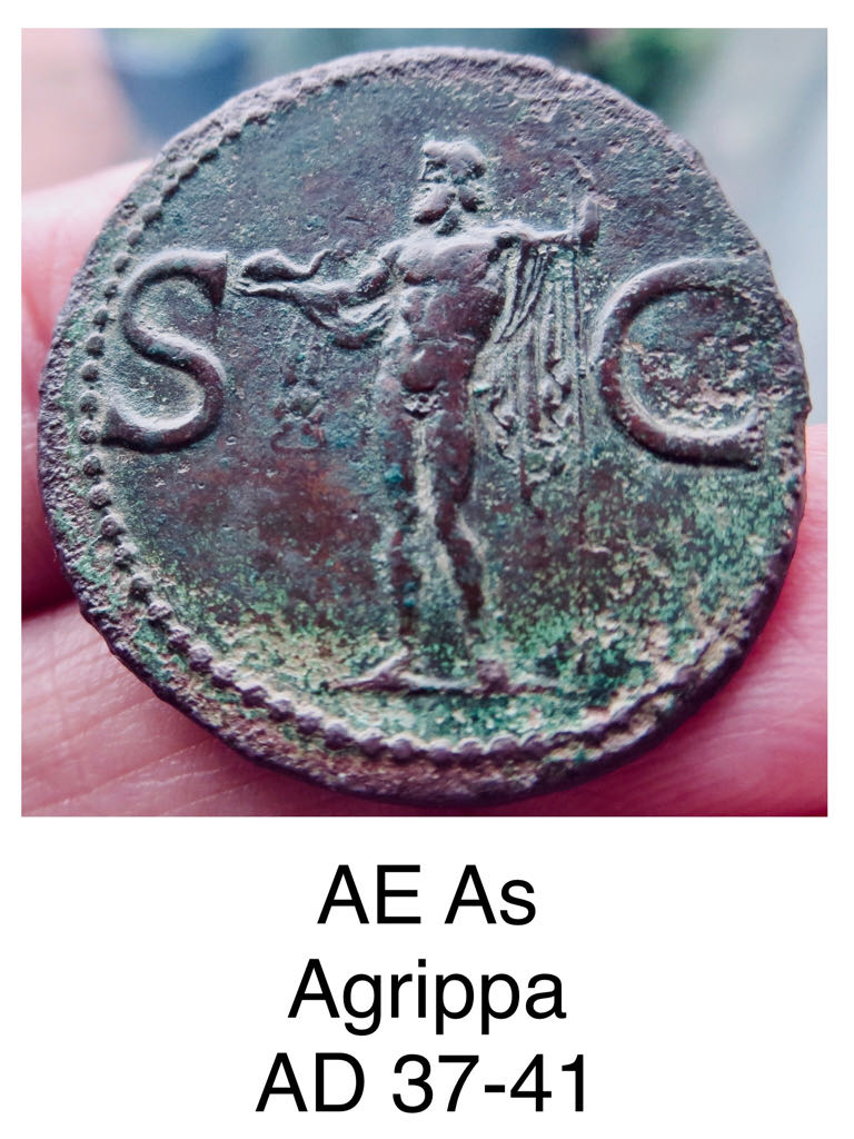 AE As of Agrippa. Struck Under Caligula  coin collectible - Main Image 2