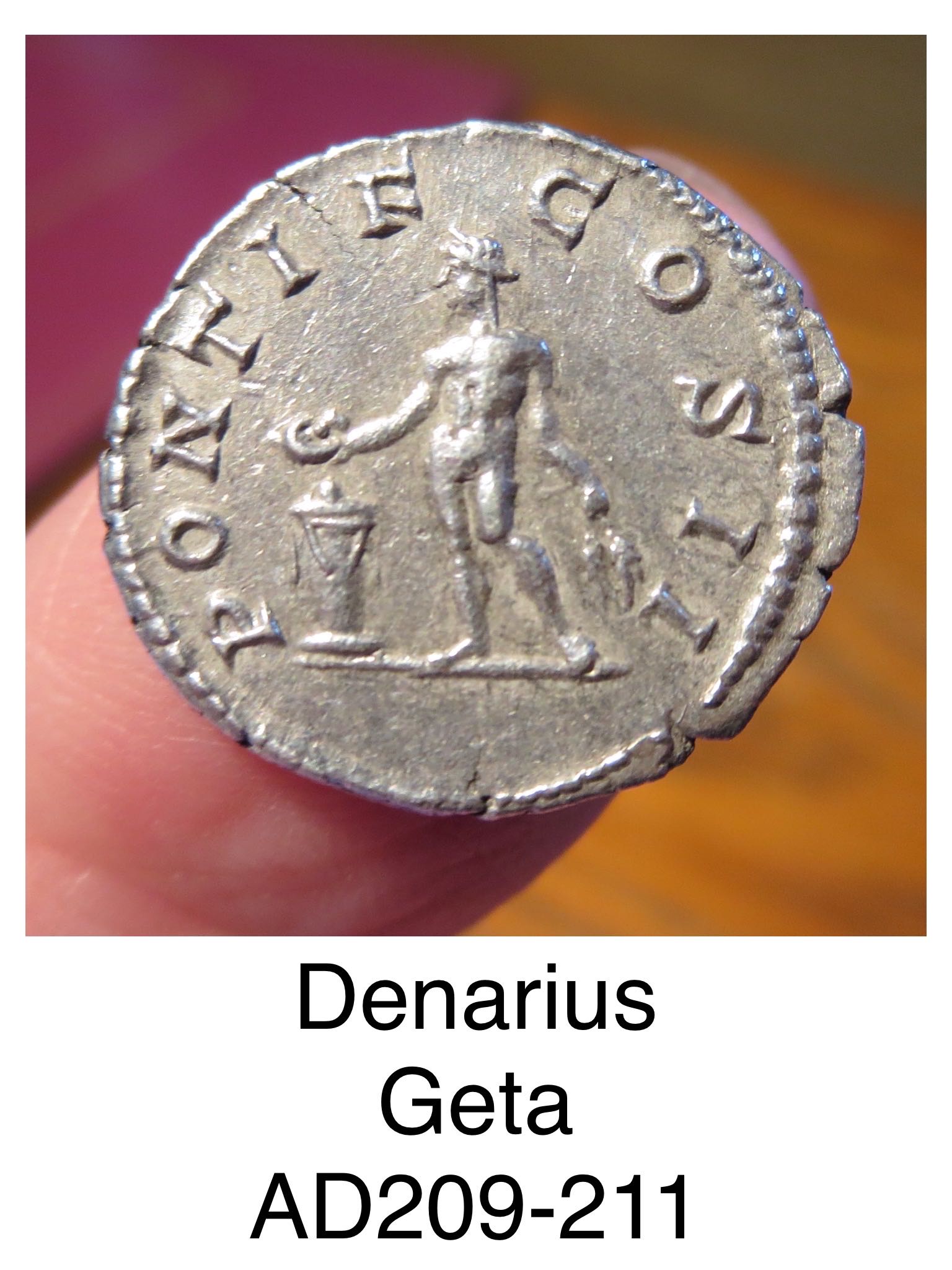 Denarius of Geta  coin collectible - Main Image 2