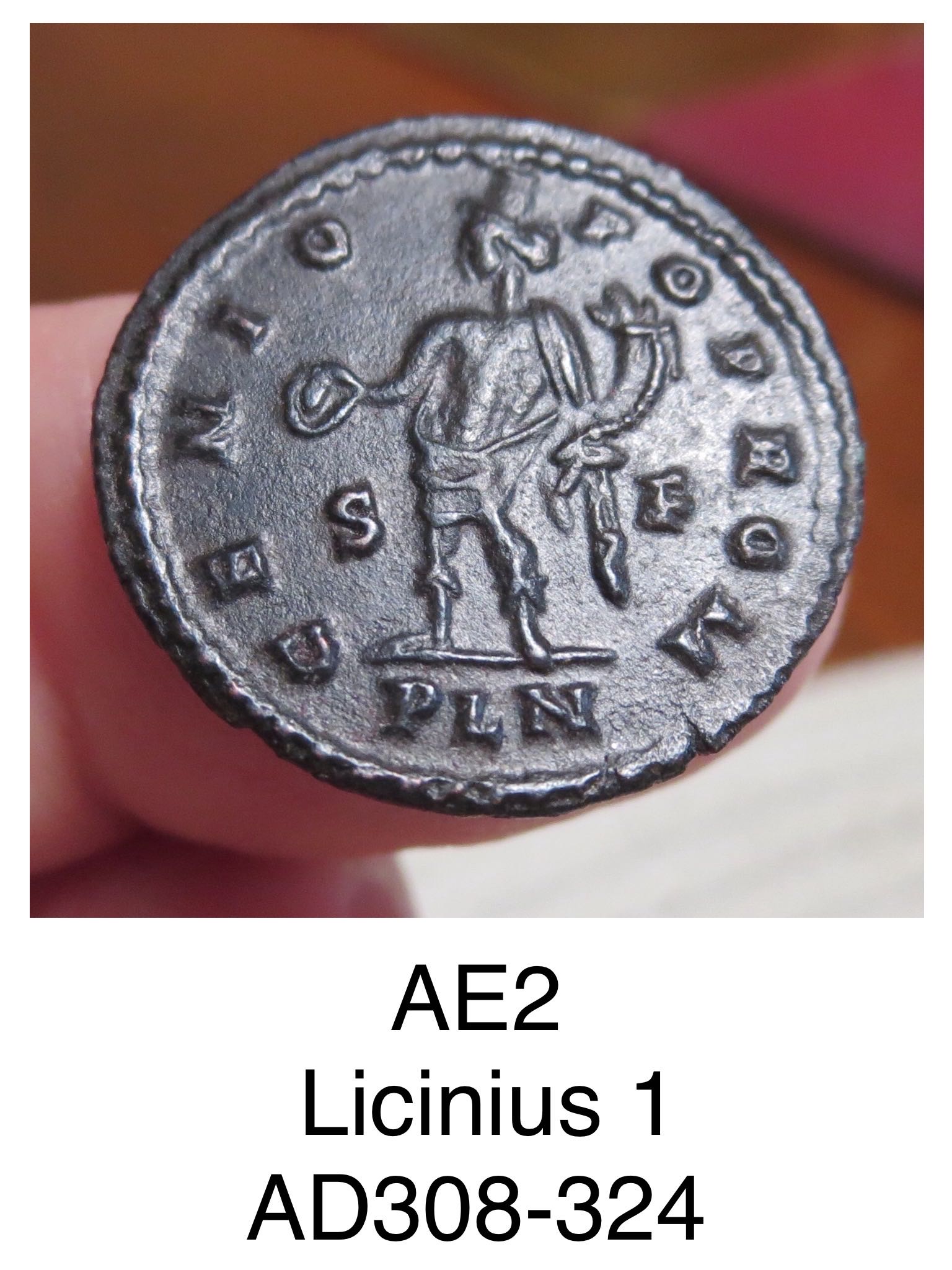 AE2 of Licinius  coin collectible - Main Image 2