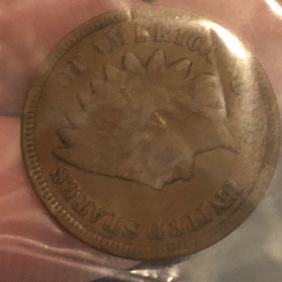 1908 P Indian Head Cent  coin collectible - Main Image 2