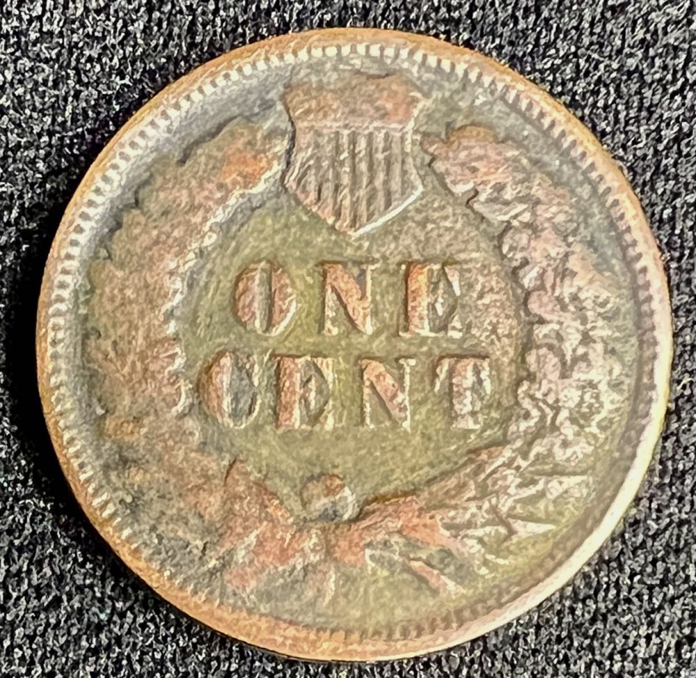 1881 Indian Head Cent  coin collectible - Main Image 2