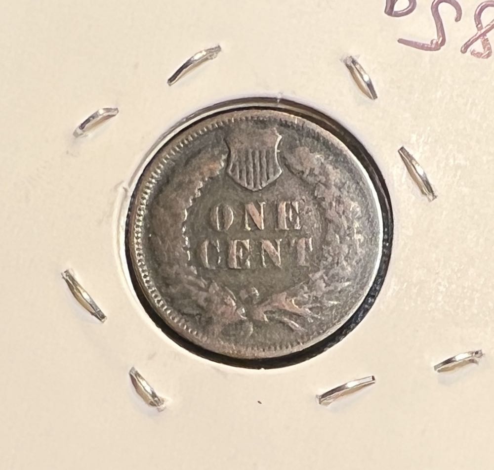 1881 Indian Head Cent  coin collectible - Main Image 4