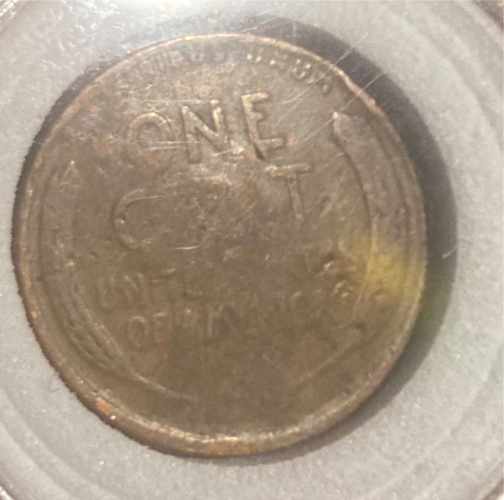 1919 Wheat Penny  coin collectible - Main Image 2