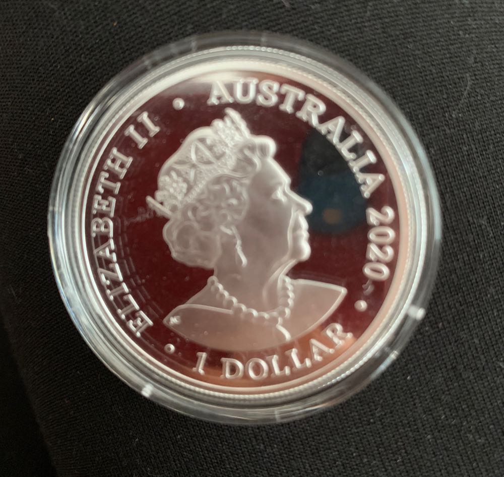 Spinner Dolphin  coin collectible - Main Image 2