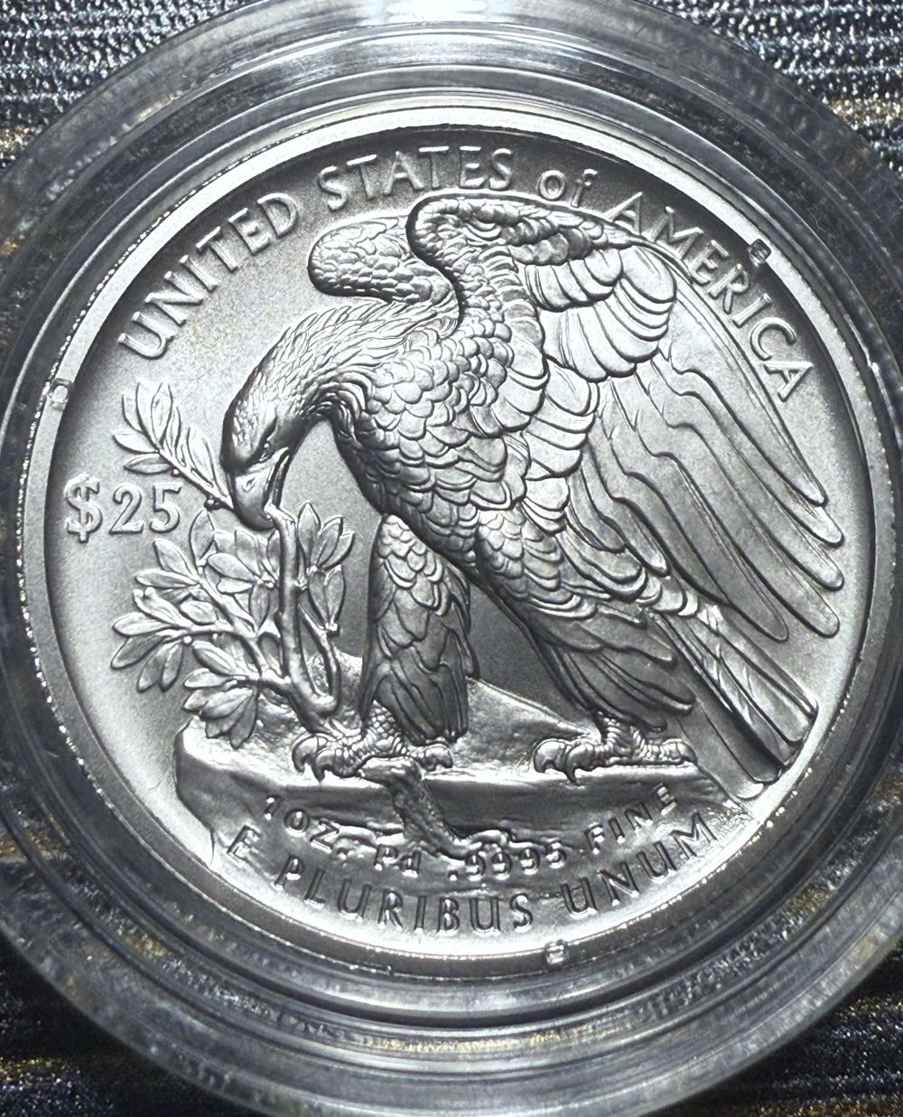 Palladium 2020 W Eagle Burnished  coin collectible - Main Image 3