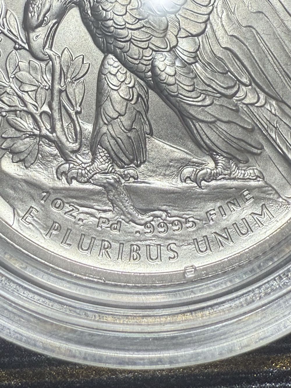 Palladium 2020 W Eagle Burnished  coin collectible - Main Image 4