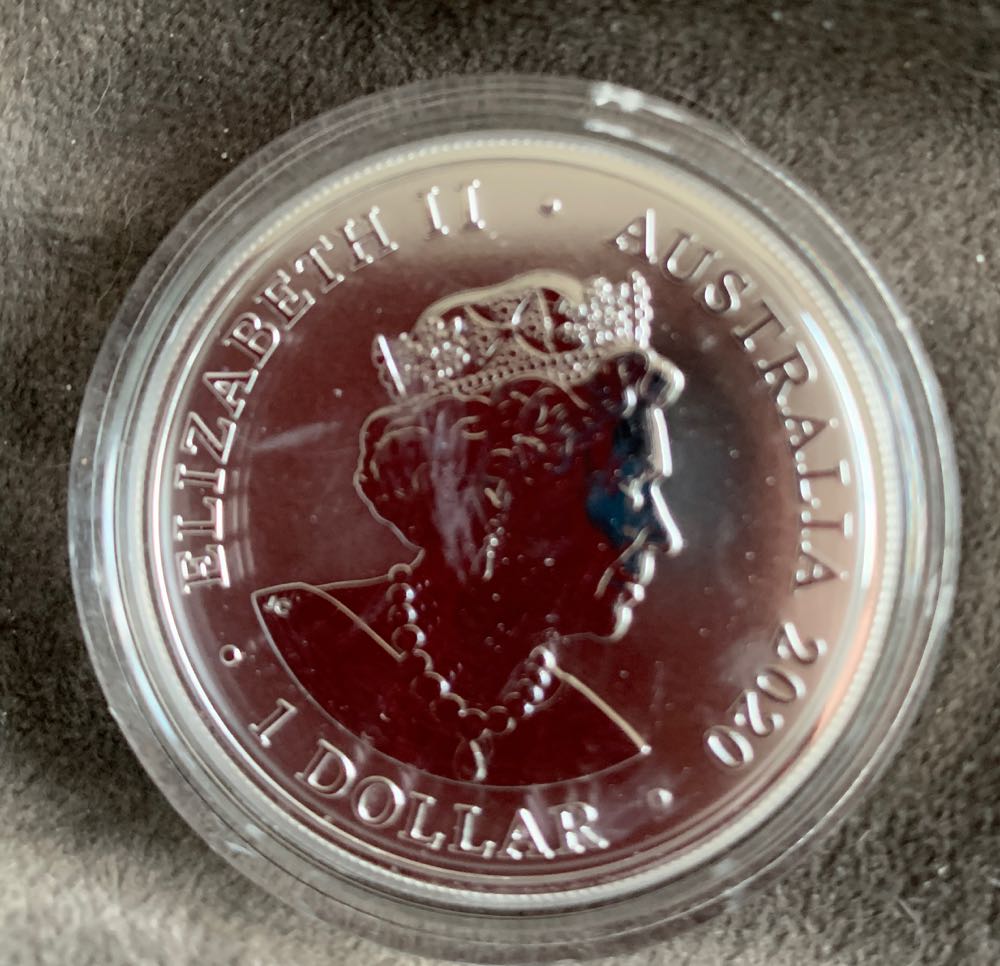 Red Back Spider 2020  coin collectible - Main Image 2