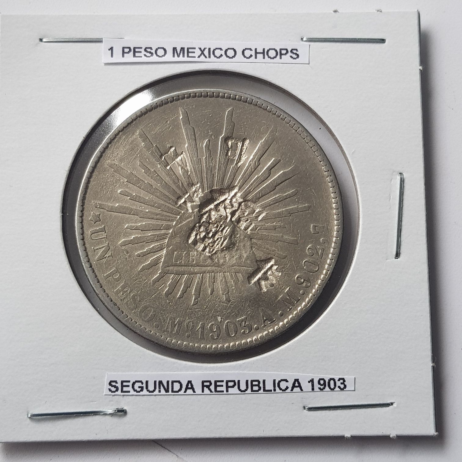 New Zealand One Dollar Coin