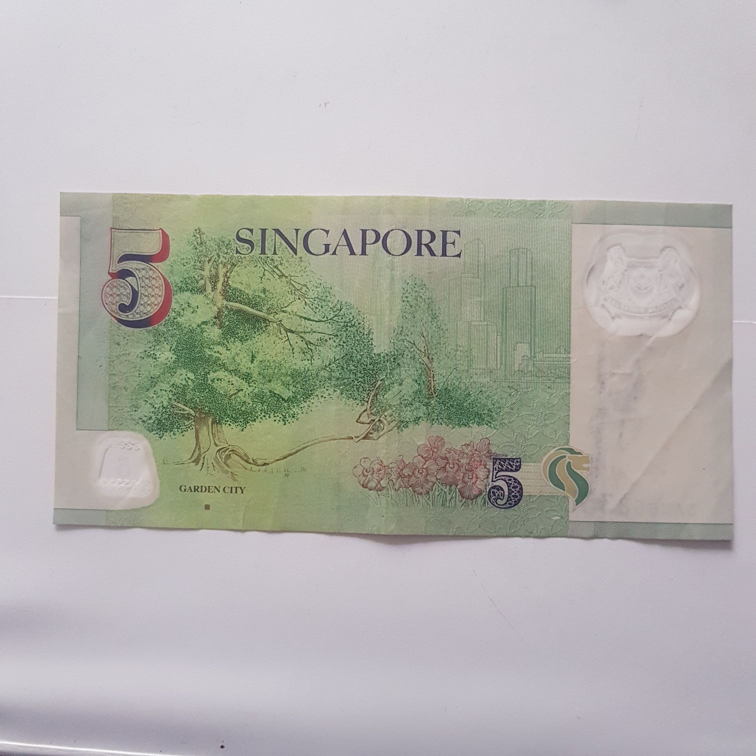 5 Dólares  coin collectible - Main Image 2