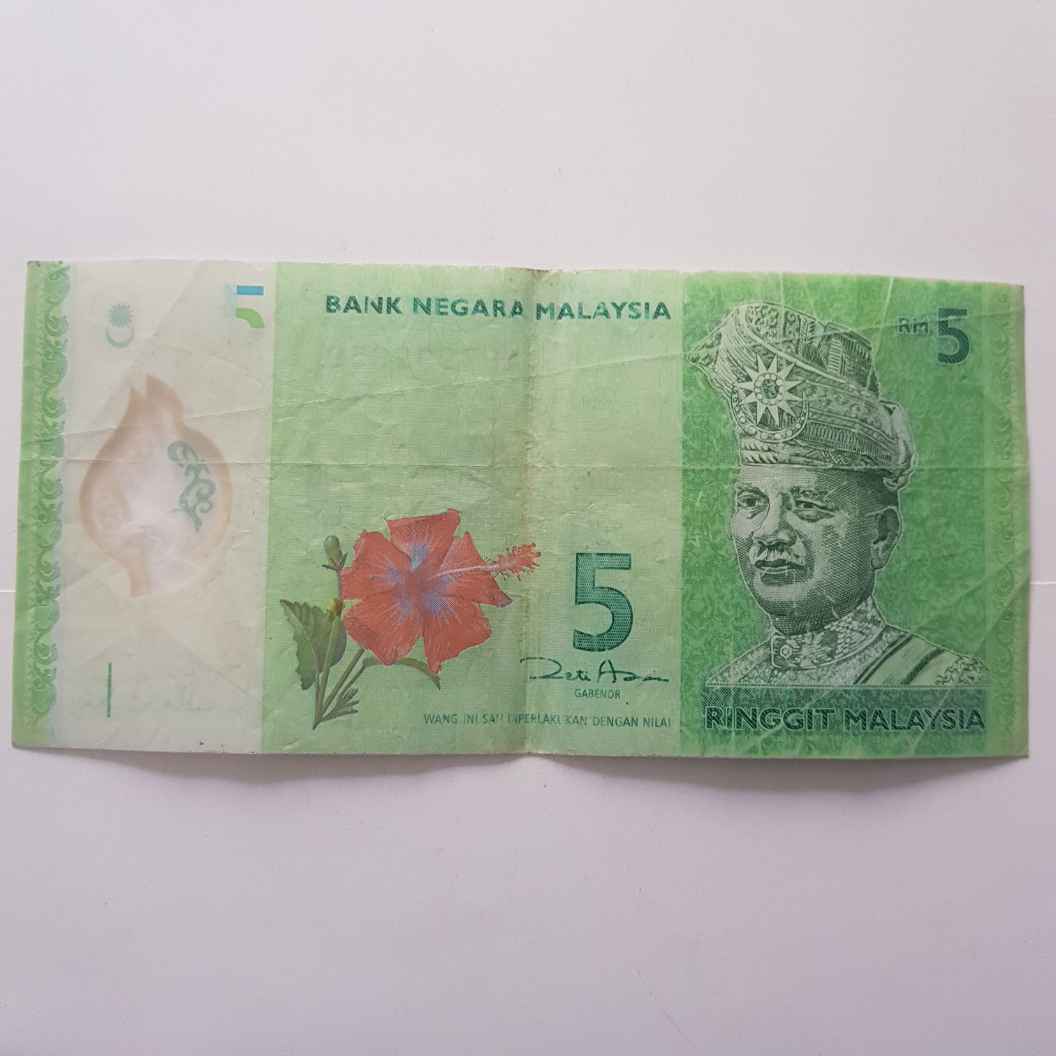 RM - Falcon of the Plantagenets