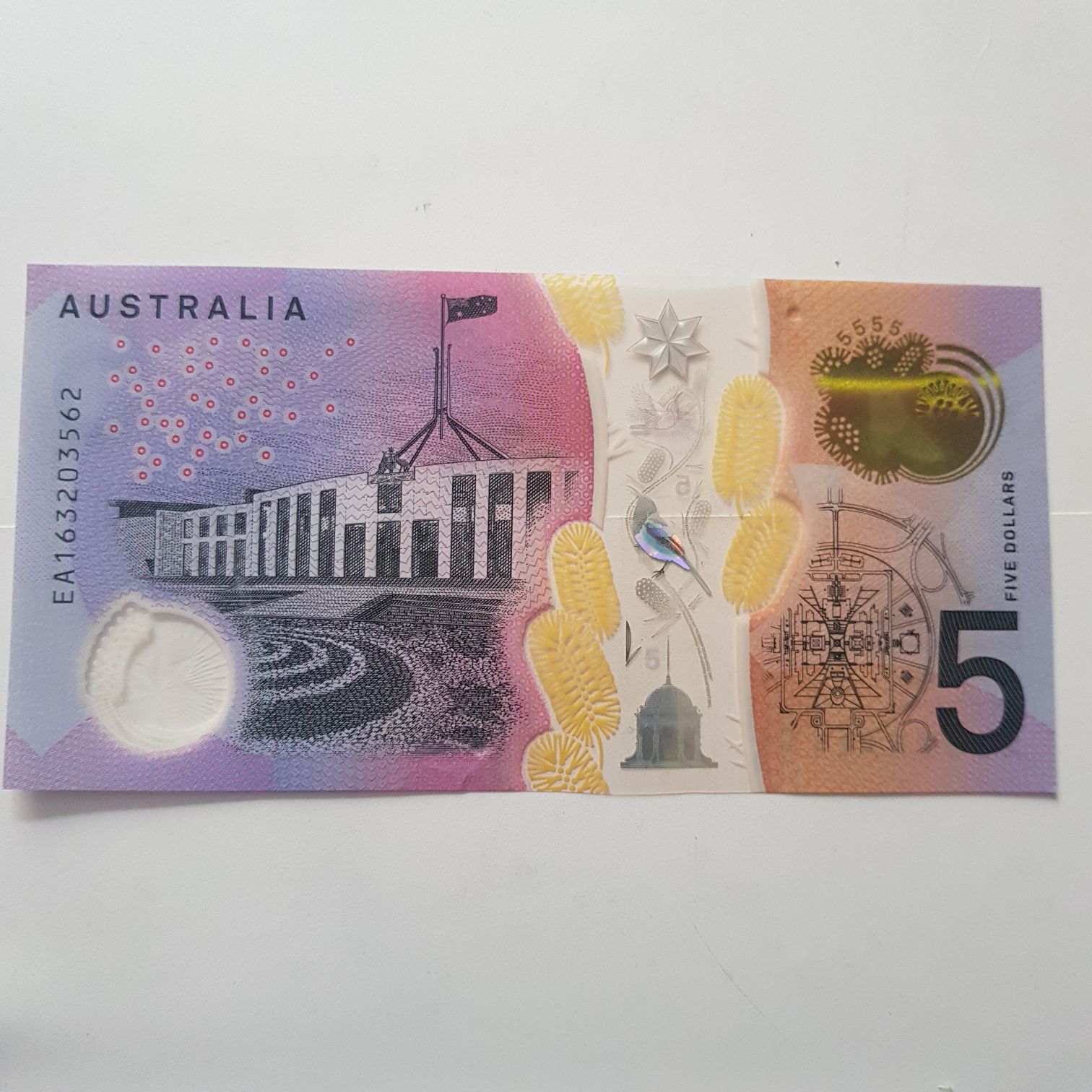 5 Dólares  coin collectible - Main Image 2