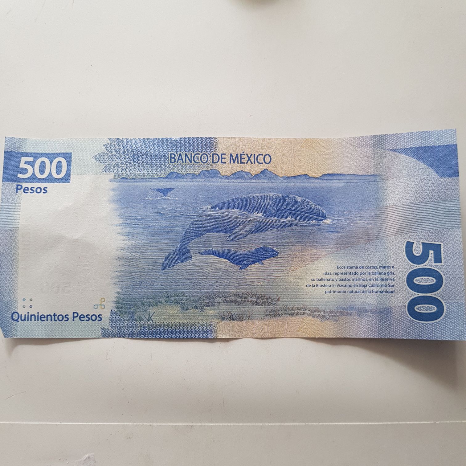 500 Pesos  coin collectible - Main Image 2