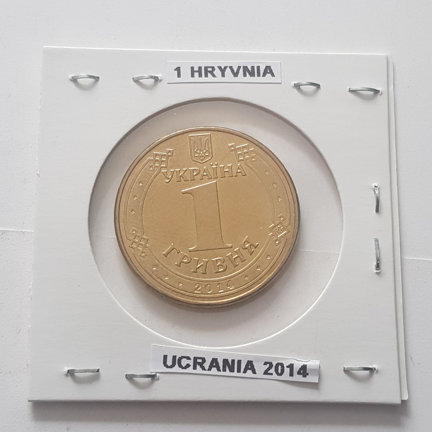 Year Of The Dog 2018