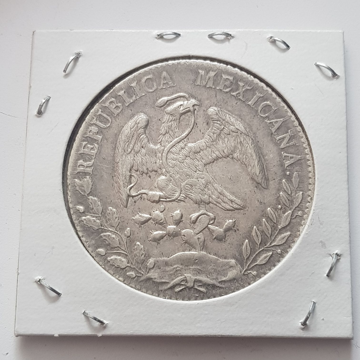 8 Reales Chihuahua  coin collectible - Main Image 2