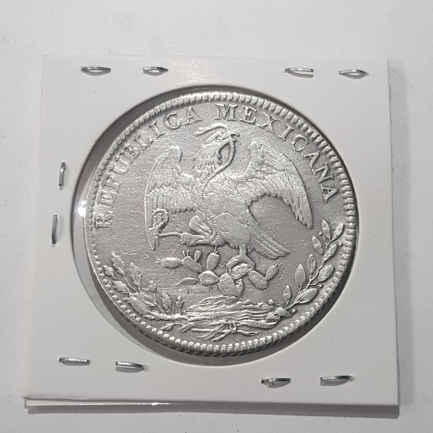 8 Reales Chihuahua  coin collectible - Main Image 2