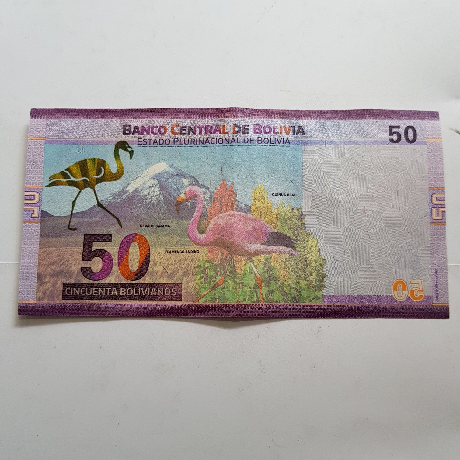 50 Bolivianos  coin collectible - Main Image 2