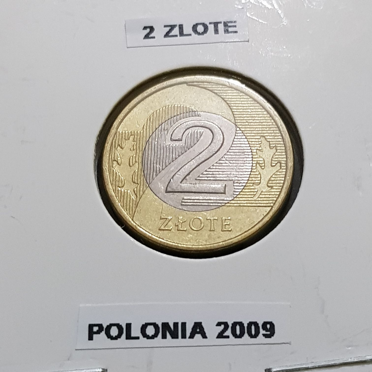 1 Dólar