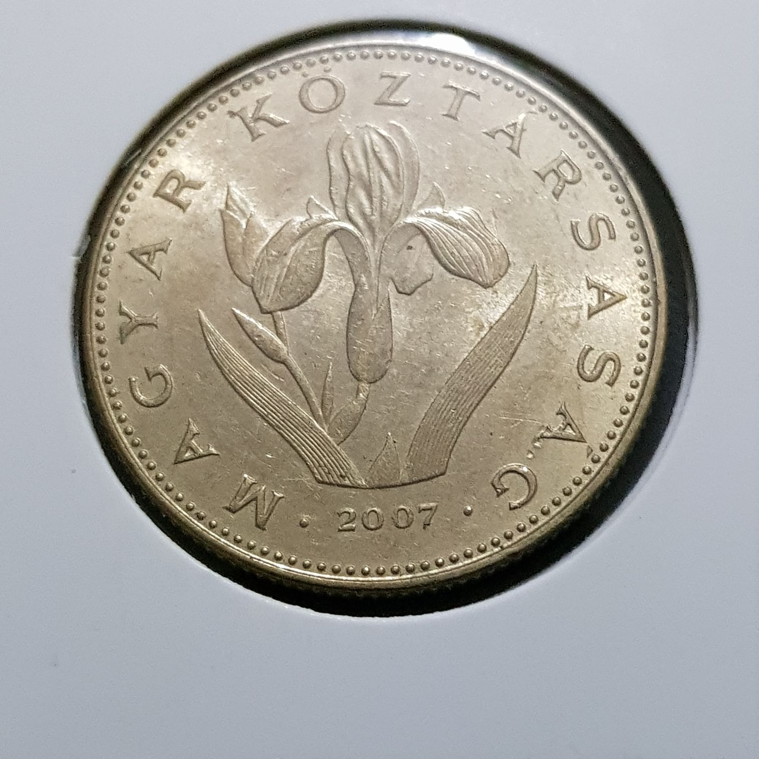 20 Forint  coin collectible - Main Image 2