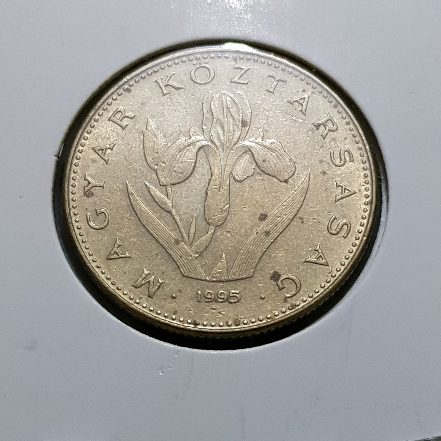 20 Forint  coin collectible - Main Image 2