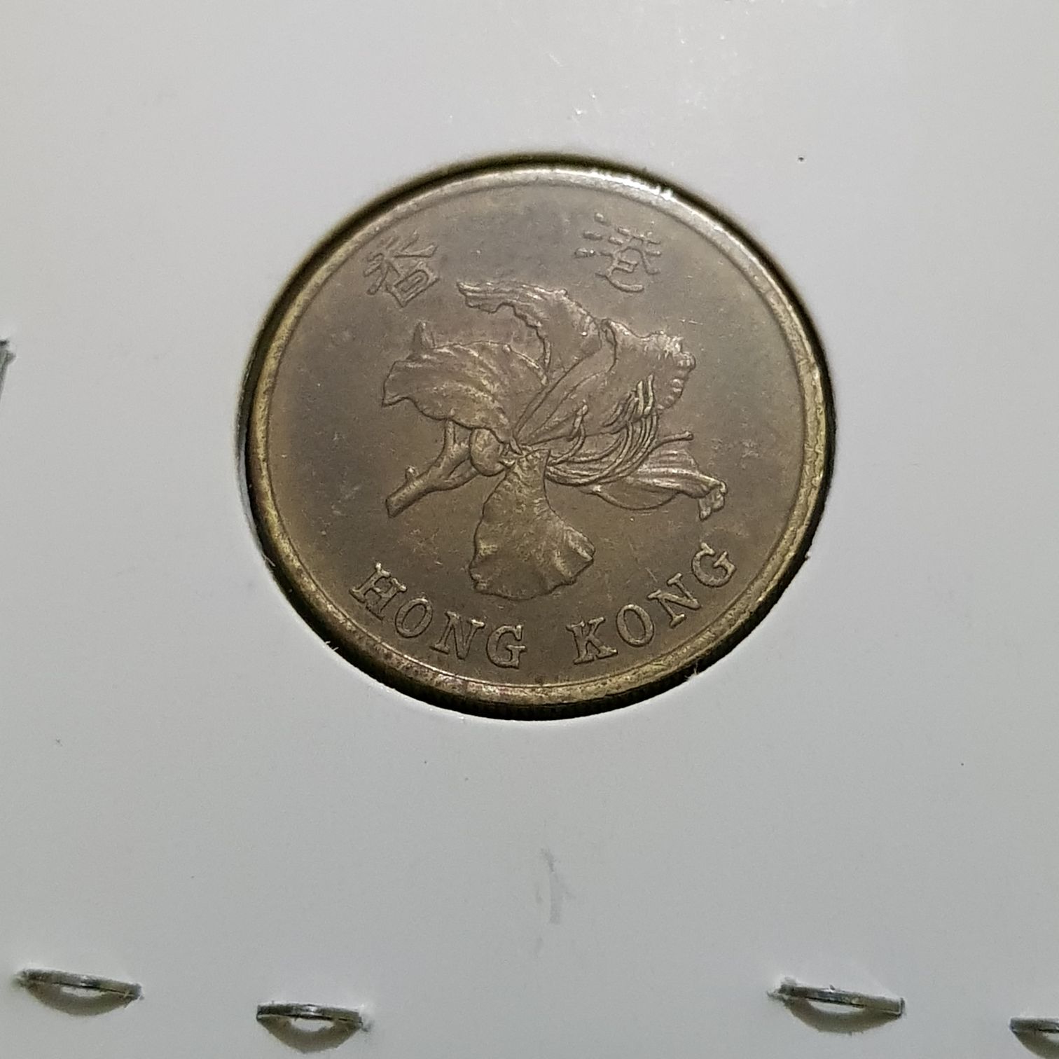 .5 Centavos  coin collectible - Main Image 2