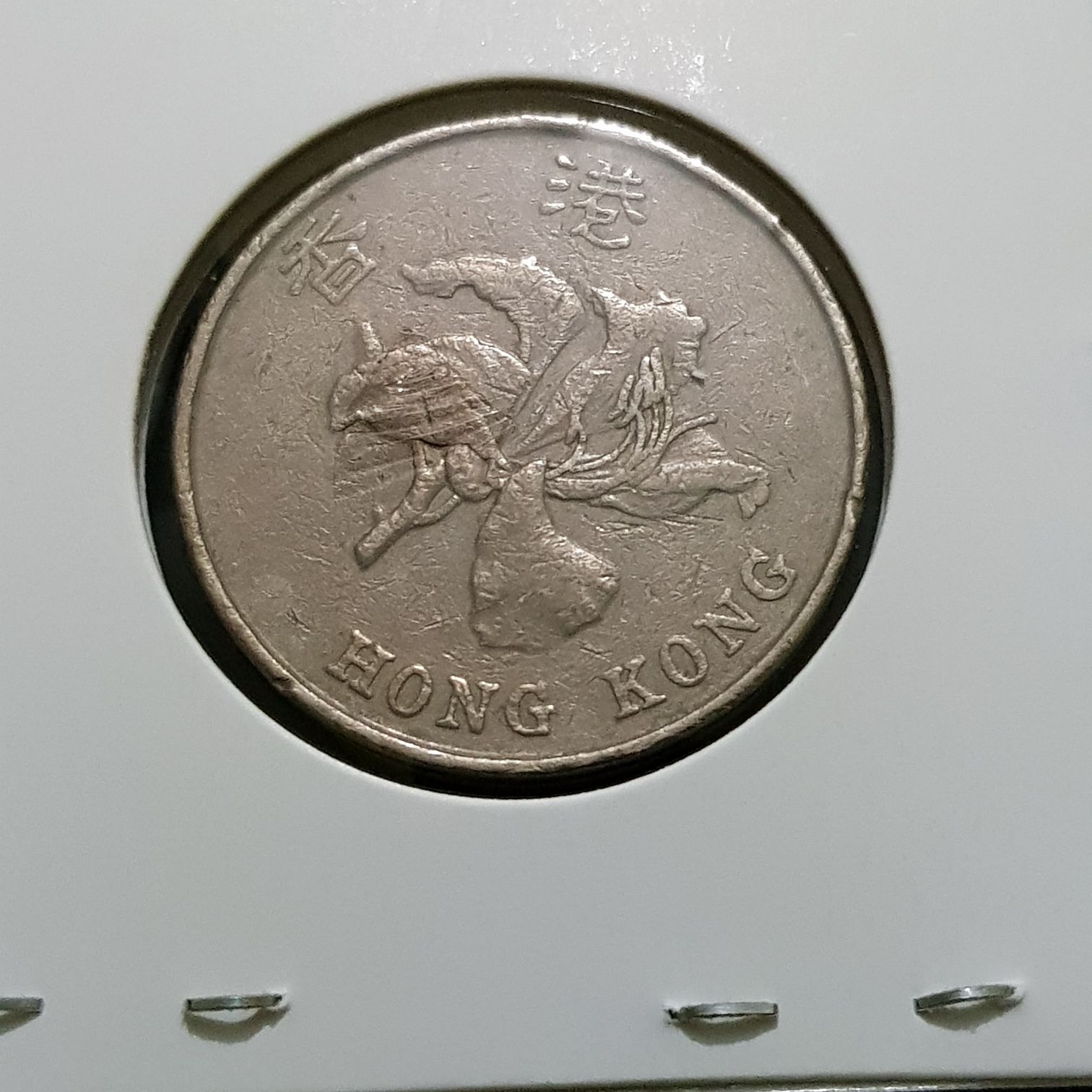 5 Dólares  coin collectible - Main Image 2