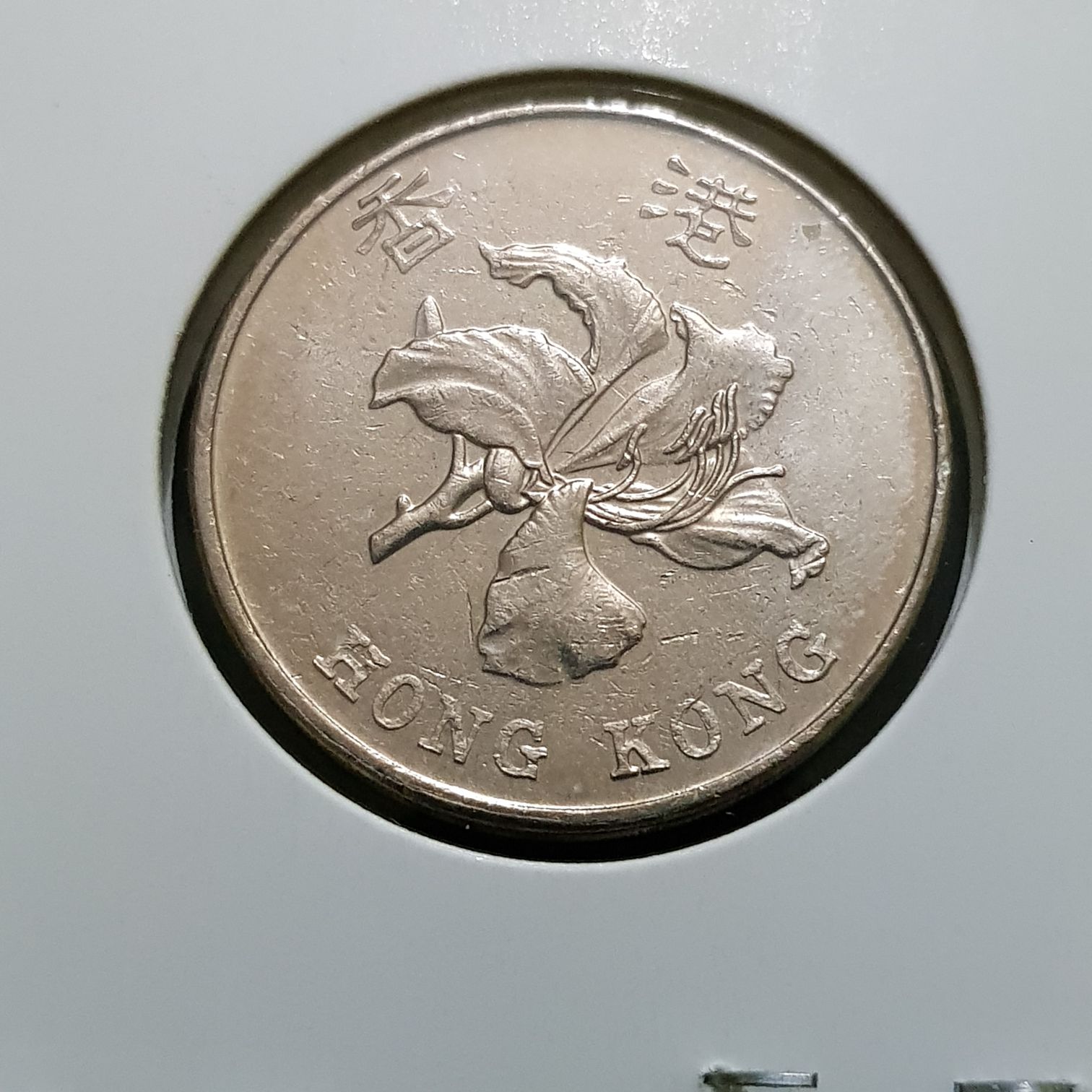 5 Dólares  coin collectible - Main Image 2