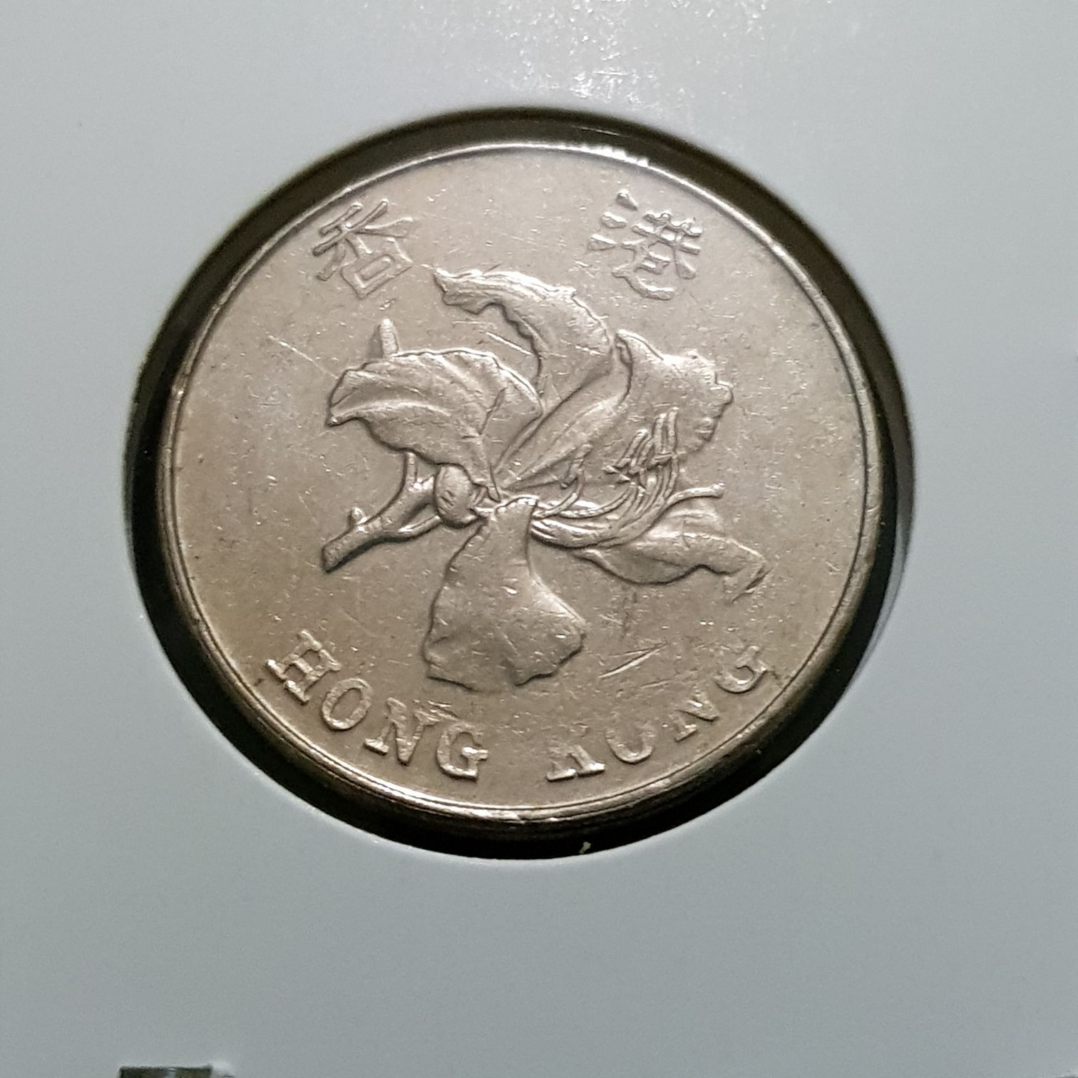 5 Dólares  coin collectible - Main Image 2
