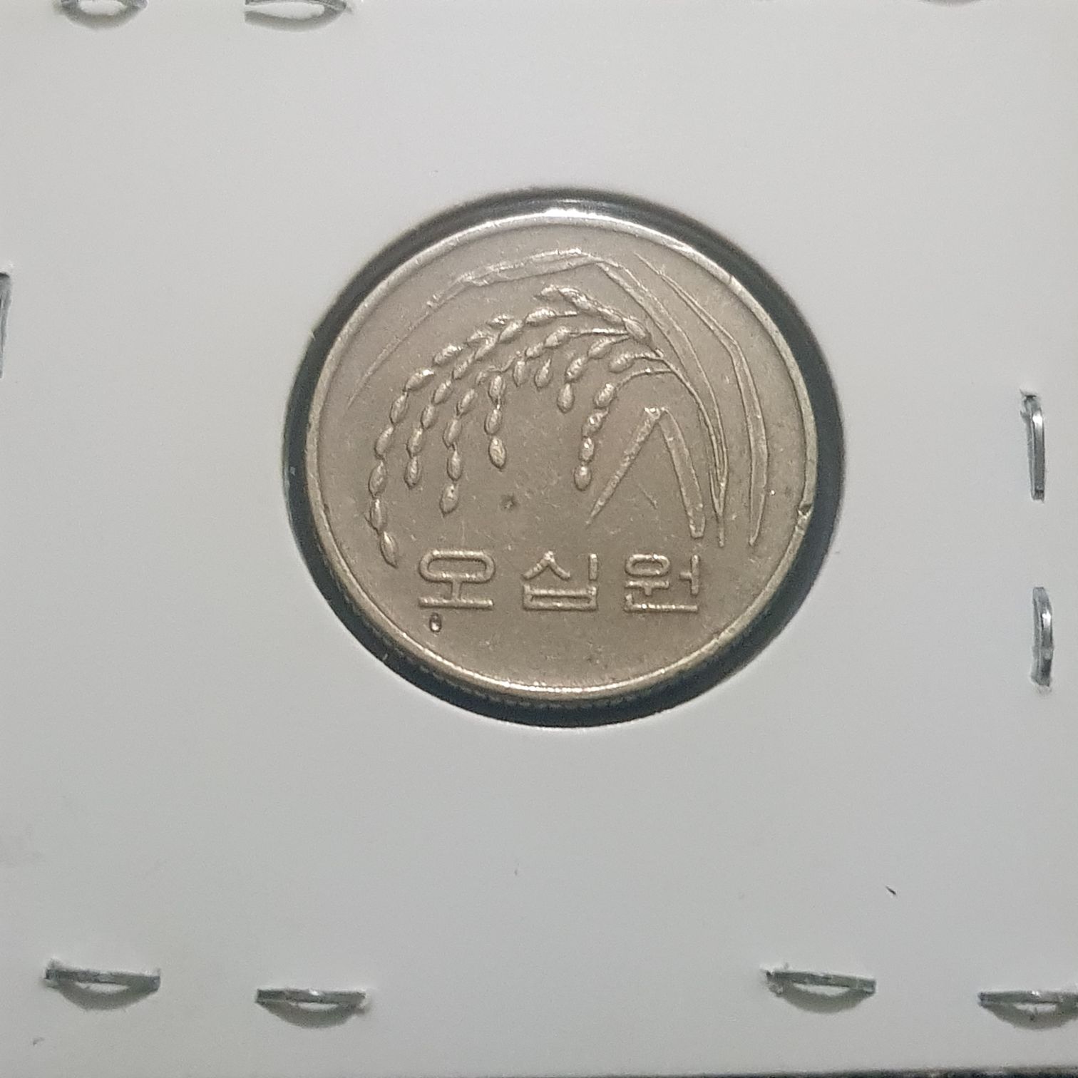 50 Won  coin collectible - Main Image 2