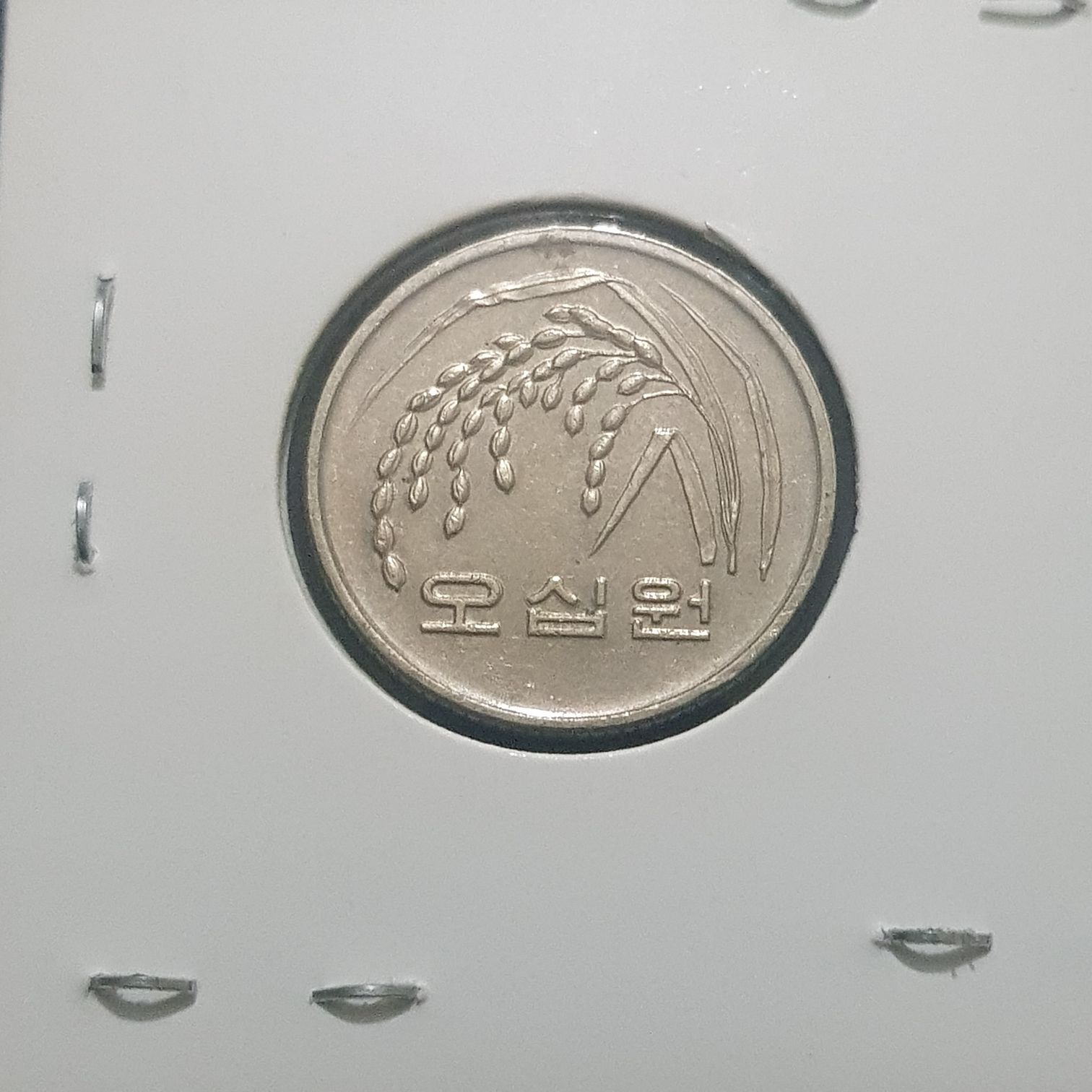 50 Won  coin collectible - Main Image 2