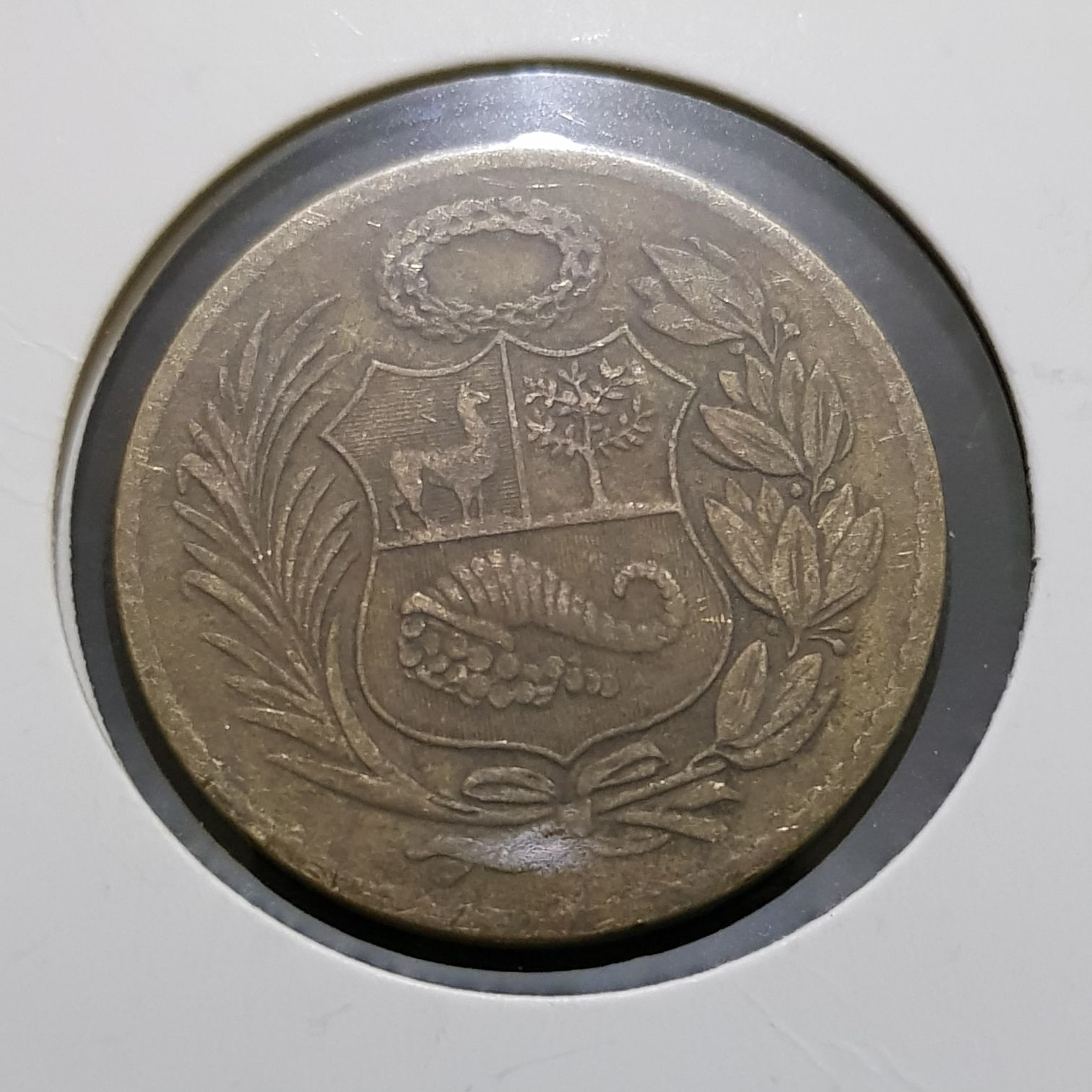 1/2 Sol  coin collectible - Main Image 2